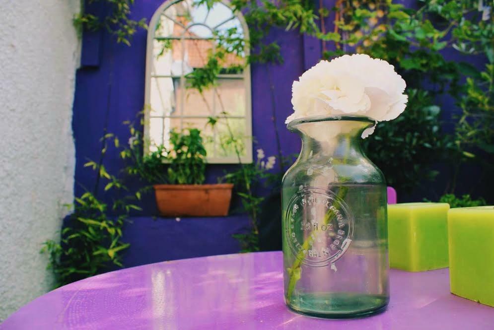 Bed & Breakfast Glanmor Garden Swansea